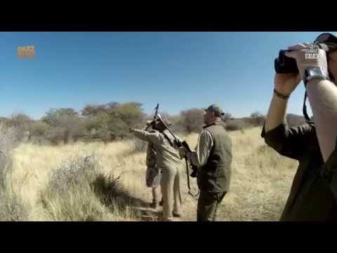 Darz Bór zapowiedź odcinka 161