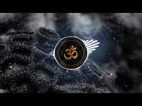 Fungus Funk VS Drip Drop  - Audio Criminals