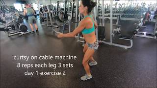 Day 1 Exercise 2 Curtsy Cable Squat