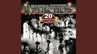 Corrido De La Hermana (Live)