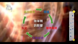 非農地雜草自己理