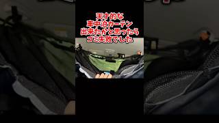 天才の車中泊カーテン作ったと思ったらバカだった #人生失敗シリーズ