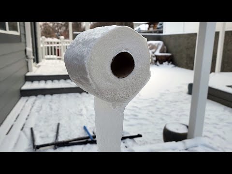 Frozen Toilet Paper, Frozen Egg, and Frozen Spaghetti