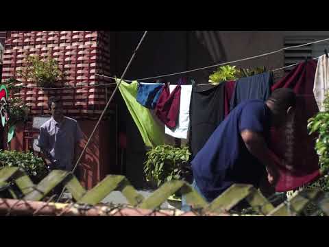 Dandote vida - Vico C