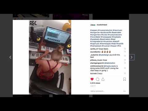 STORCH VST | ON SALE | $89.99 for next 30days