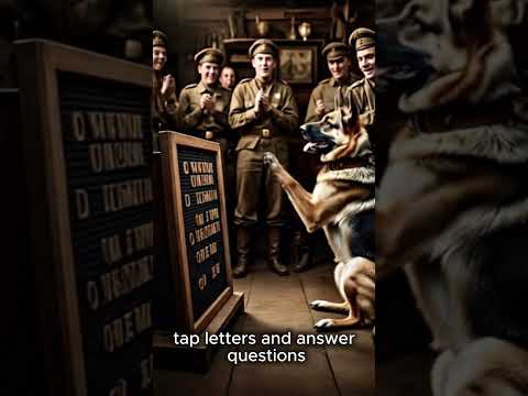 The Disturbing Science Behind Nazi Experiments on Talking Dogs