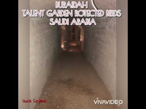 Buraidah Birds Sanctuary - Saudi Arabia