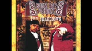 boom bap project-never again (mistakes)