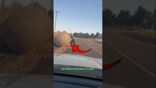 Download lagu #trend mp3 Download lagu #trend mp3