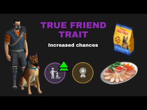 How to Increase the Chances of Getting True Friend Trait on your Dog | Last Day on Earth: Survival