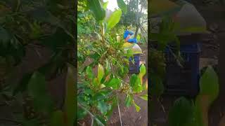 Download lagu SW STATUS WHATSAPP STORY WA SHORT VIDEO 13 mp3 Download lagu SW STATUS WHATSAPP STORY WA SHORT VIDEO 13 mp3