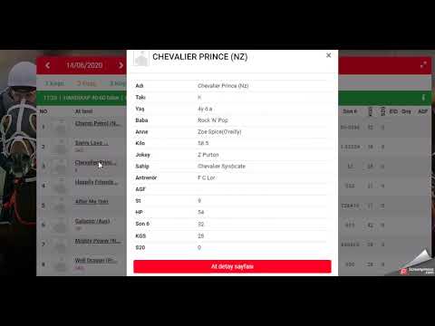 14 HAZIRAN 2020 SHA TIN HONG KONG HORSE RACE TIPS (Sha Tin Altılı Ganyan Tahminleri)