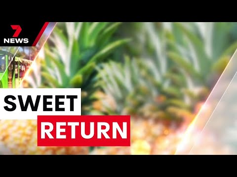 Queensland icon 'The Big Pineapple' reopens with Iconic train ride restored | 7 News Australia