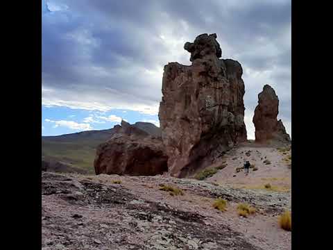 Aniversario Pilo Lil 2026