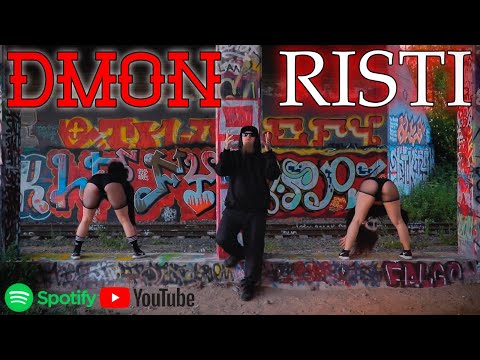 DMON - RISTI