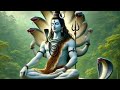 Misspriya Is Live Har Har Mahadev Welcome To My Life