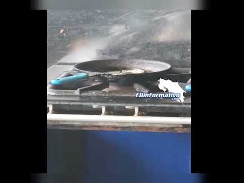 Ratas en la cocina de la delegación de San Mateo de alajuela