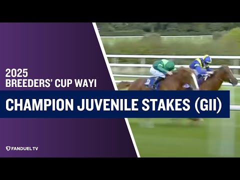 2025 Champions Juvenile Stakes (G2)