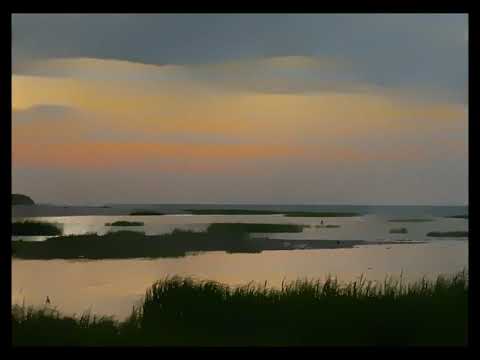 Video thumbnail for And Then, Calm