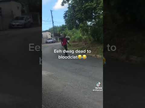 Funny Jamaican TikTok videos 🤣🤣 #shorts #jamaica