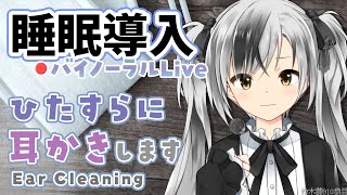 【Binaural/黒3Dio】本気で眠りたい人のためのじっくり奥まで耳かき 2024.4.9【にじさんじ/鈴木勝】