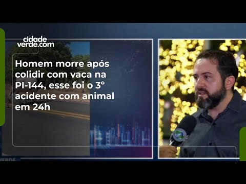 Homem morre após colidir com vaca na PI-144, esse foi o 3º acidente com animal em 24h