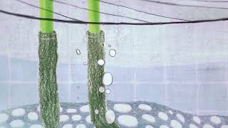 Sponsorenanimation 2026