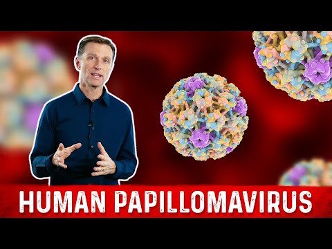 Papilloma virus 16