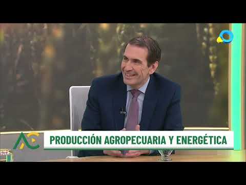 Neuquén: La fortaleza del agro y el auge de la energía - Aire De Campo Express