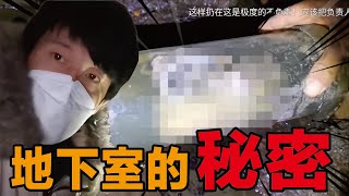 [討論] 中國超級安全的啦，祖國美人跟館長敢不
