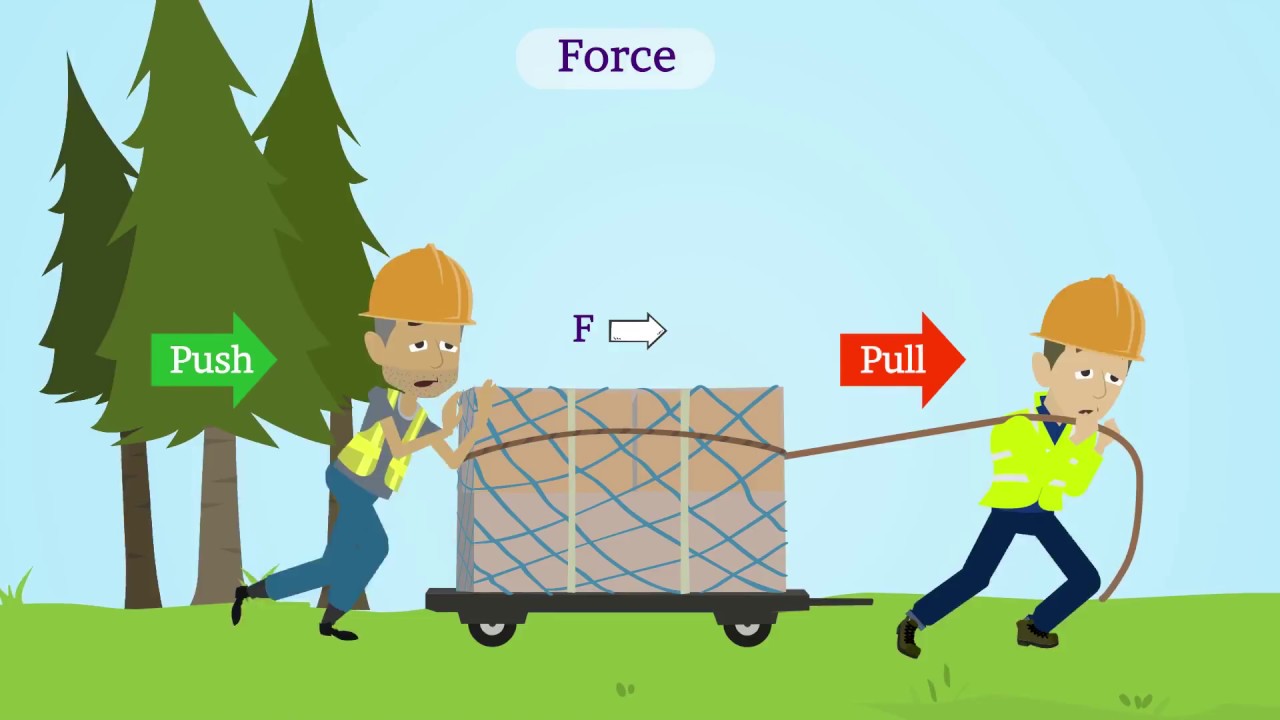 Force and Laws of Motion Class 9 Science | Balanced and Unbalanced Forces