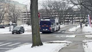 Bus Spotting in Madison. Bus 2344 on Route A2 & 146 on Route R1