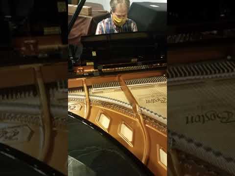 Boston GP-178 PE II Festival piano