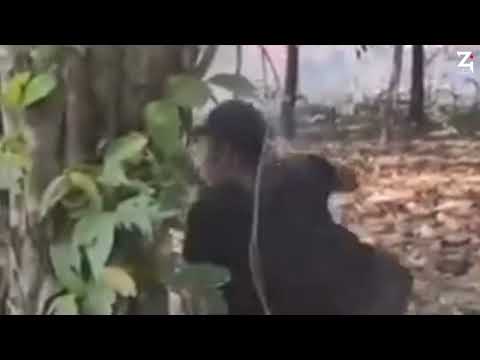 𝐏𝐃𝐅 + 𝐊𝐈𝐀 + 𝐊𝐍𝐀-𝐁 Versus 𝐏𝐋𝐀, + 𝐍𝐒𝐂𝐍-𝐈𝐌 + 𝐒𝐀𝐂 + 𝐊𝐘𝐊𝐋 + 𝐉𝐔𝐍𝐓𝐀