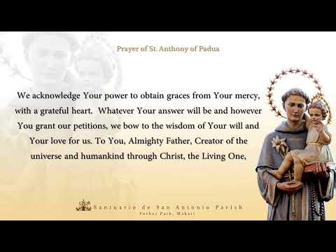 Live || Tuesday , April 12, 2022 | 6:00 pm - The Celebration of the Holy Mass.