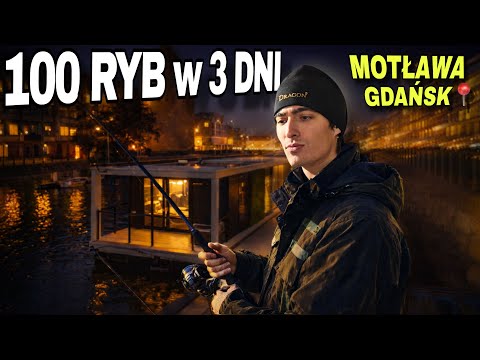 I AM ASSESSING THE FISHING SITES IN THE CENTER OF GDAŃSK *They robbed me*