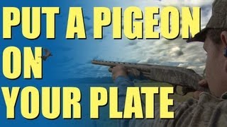 Fieldsports Britain - Pigeon shooting perfection + recipe (episode 192)