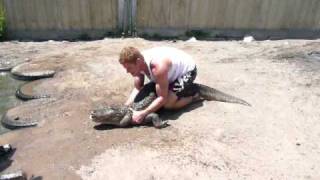 preview picture of video 'Alligator Wrestling in Hooper, Colorado.'