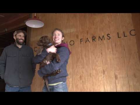 Chloe Rowles Reel 2017