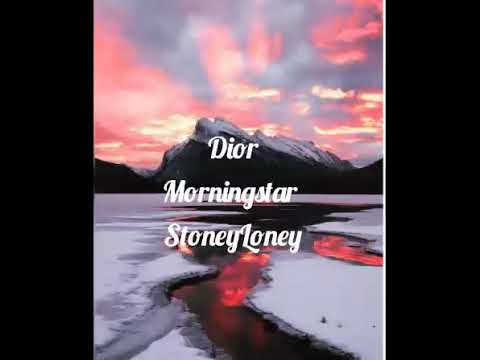 Dior x Morningstar x StoneyLoney -High school