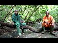 Visiting The Dja Faunal Reserve UNESCO Heritage