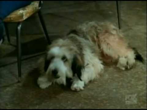 My Mother The Car - 1x05 Burned At The Steak