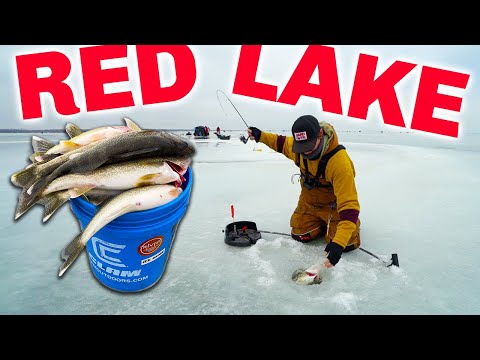 RED LAKE Ice Fishing IS ON FIRE! (Catch & Cook Limits)