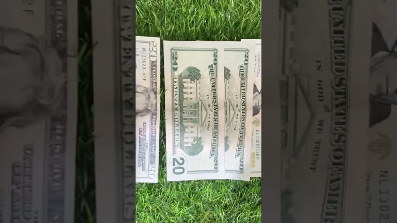 #shorts 20doller usa