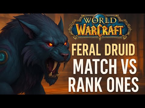 The sweatiest blitz match you will ever see - Feral druid pvp the war within 11.1.7