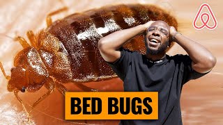 How to deal with bed bugs at your Airbnb | FREE GEM FRIDAYS
