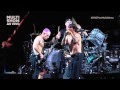 Red Hot Chili Peppers - Suck My Kiss - Live at ...