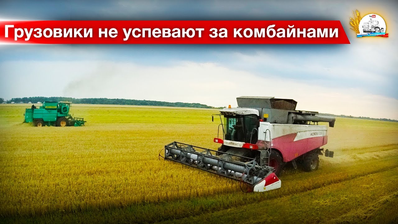 Ячмень добротный, возим без продыху! Гоняем медведей у ДОН-1500Б.