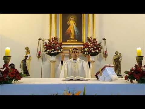 Homilía 26/07/21 - San Joaquín y Santa Ana - Mateo 13, 31-35 - Parábola del grano de mostaza.