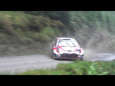 BEST OF WRC RALLY 2019 - FLAT OUT